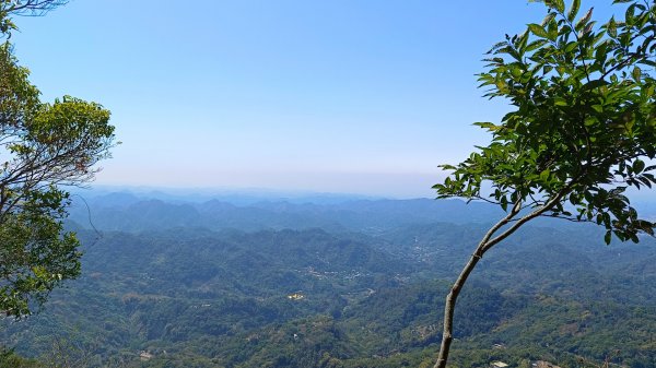 暗影山（酒桶山）台中小百岳2041993