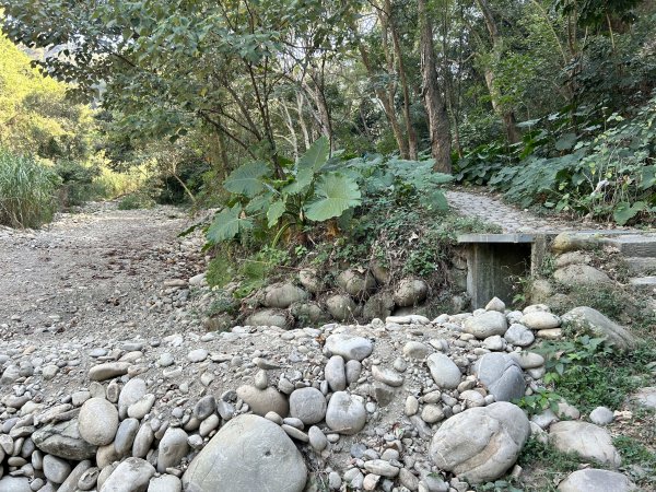 清水岩中央嶺造林步道2957422