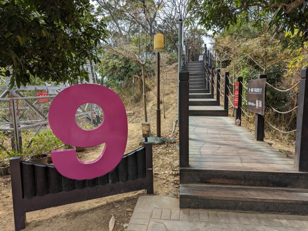 2023-02-04 大坑9、10號步道2792381