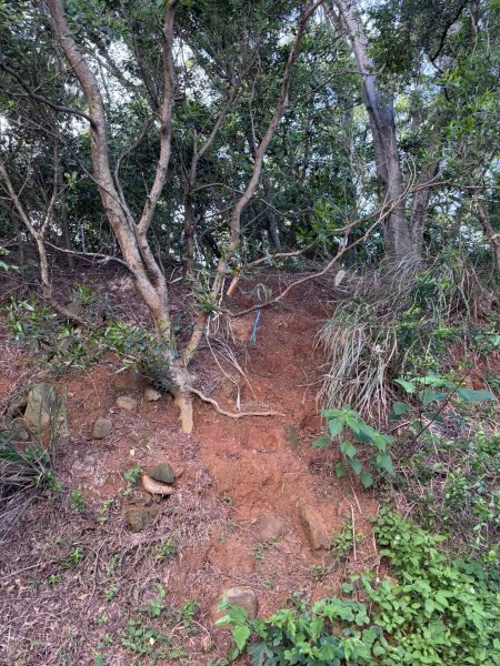 新竹香山區&東區 牛埔、印斗、十八尖山西峰近郊三山3042894