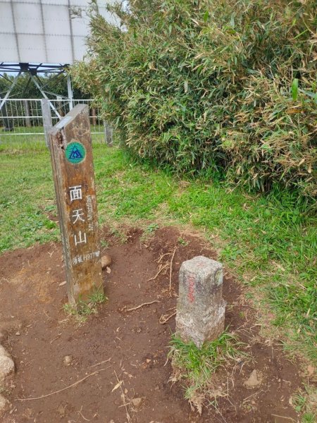 ［走遍陽明山］二子坪+面天山向天山2178951