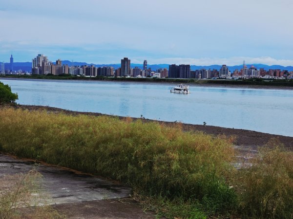 2025臺北大縱走第八段：捷運動物園站至捷運關渡站[河濱自行車道]2924041