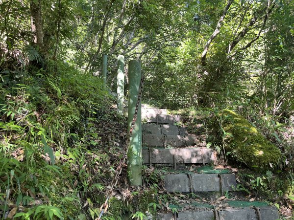 [玉山尋寶任務-03/12] 2025_0810 瓦拉米步道2857522