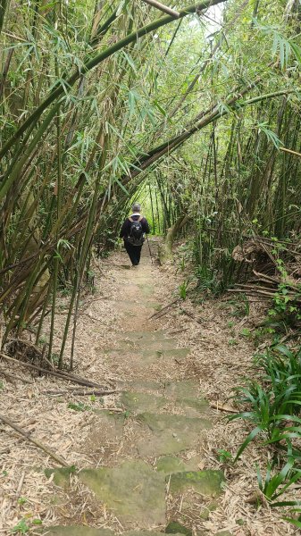 2026-0116 大屯三山_貴子坑_北投2984772