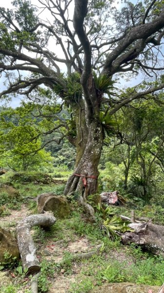 銀河洞越嶺貓空-新高麗坑山-銀獅縱走-猴山岳群峰+三條魚縱走2765334