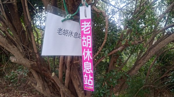 內樹尾、田中**山2708956