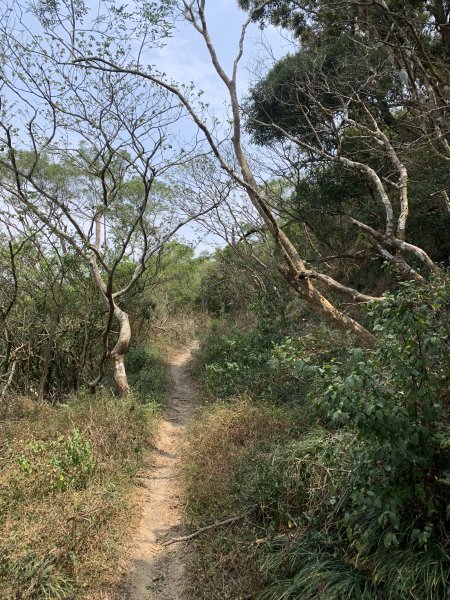 20250404屏東北獅子頭山-霧里乙山2757430