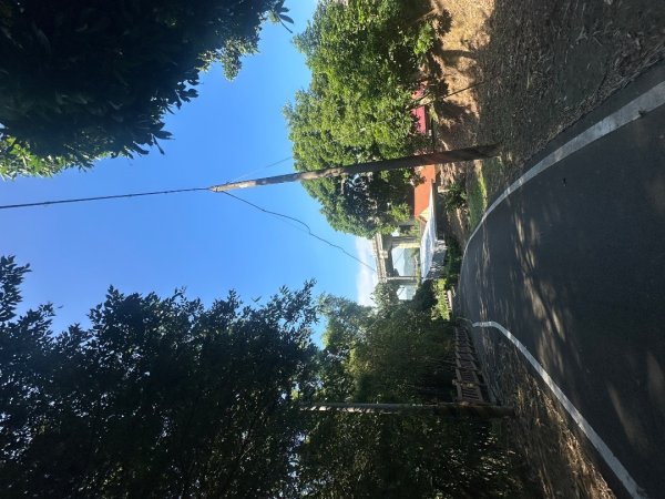 苗栗西湖-柚子山步道2615569