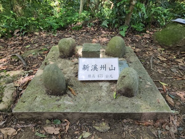 小百岳No.23⛰溪洲山2506988