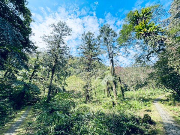 20250227 鳩之澤自然步道2736070