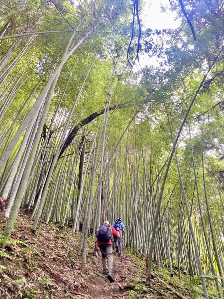 溪頭山、竹崙山、志騰山三山O型順撿內湖山  2024/5/312517736