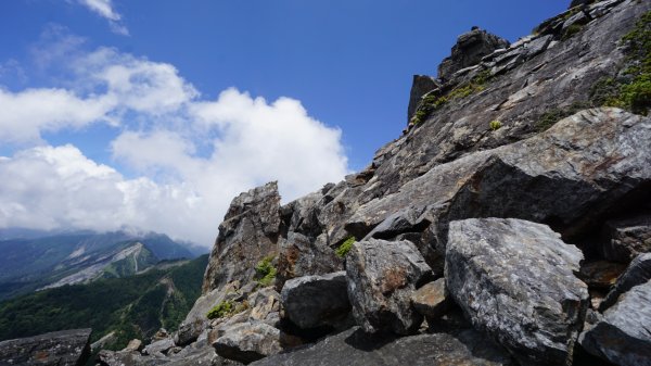 南橫溪頭山1790011