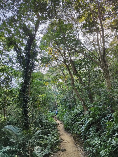 2024.01.02 飛鳳山2832136