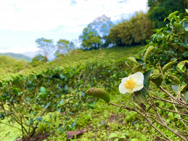 三峽動物縱走1216024