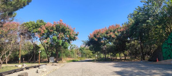 大湳森林公園2910977