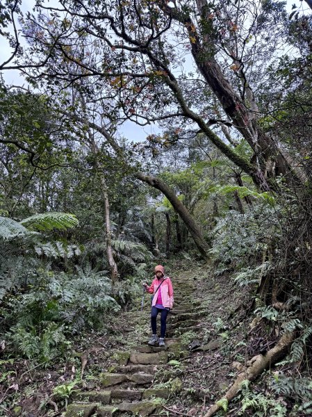 汐止大尖山-202503172770527