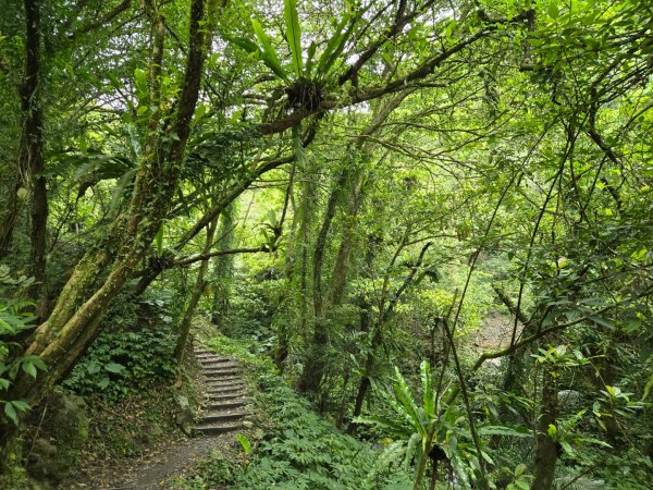 聖母登山步道（抹茶山）、三角崙山（小百岳）2774107