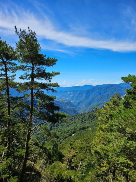 20240714🌞嘉明湖國家步道-向陽山⛰️2551345