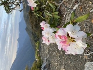 雪山西稜夢幻大景1392855