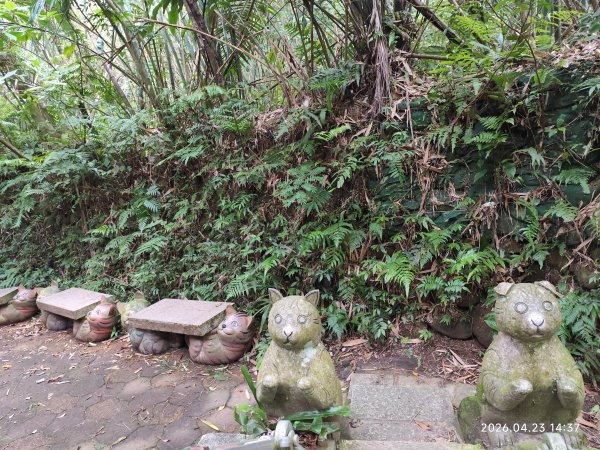 【臺北大縱走7】樟山寺→樟樹步道→指南宮貓空步道→壺穴步道→茶展中心步道→大成殿步道→指南宮千階步道3042070