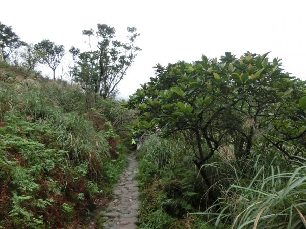 魚路古道（天籟八煙段）．八煙聚落95118