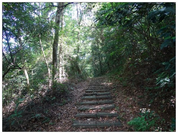 三角山/員屯山縱走682407