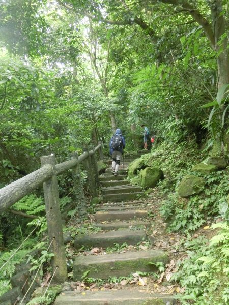 承天禪寺．天上山．桐花公園123483