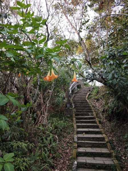 南港山縱走親山步道1679303