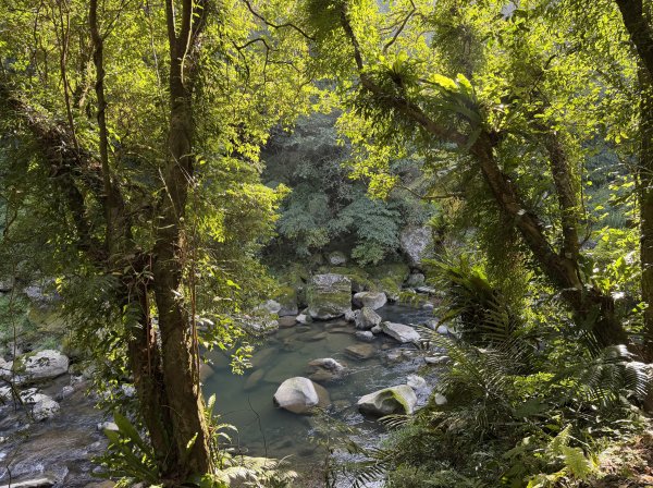 [淡蘭古道] 2026_0315 南路第二段_外按古道3016420