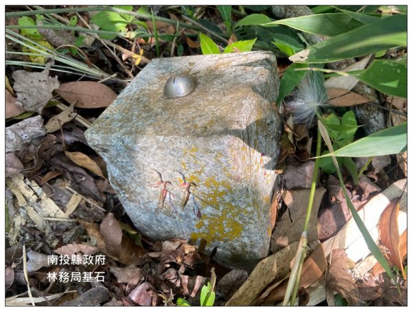 大牛條山．內湖山步道2768450