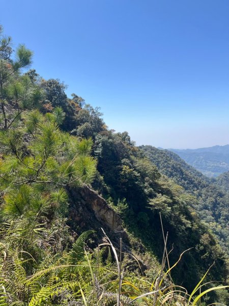 2025/3/22白毛山2823688