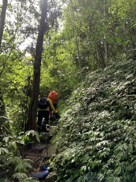 20250614南投南鳳凰山2813250