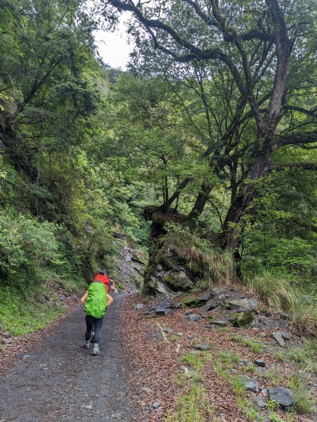 大霧籠罩的世紀奇峰「大霸尖山」2185281