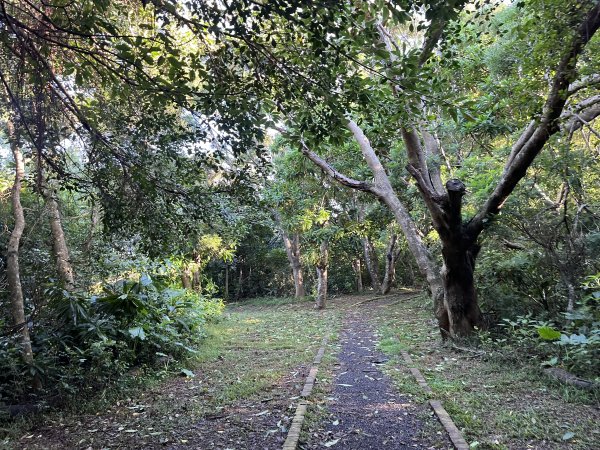 [屏步青雲 尋寶任務-07/10] 2024_1006 社頂自然公園步道2616779