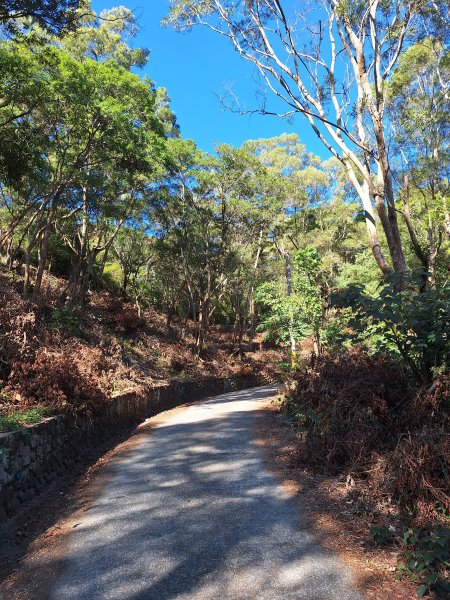 德文山(觀望山)202601052978634