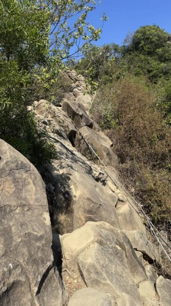 20260211小百岳旗尾山3002859