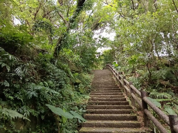 基隆市暖東峽谷大環步道+大菁農場+暖東峽谷小環步道(大O+小O)2832655