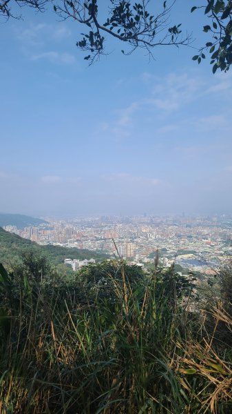 2025-0204 鶯歌_大凍山_三角埔頂山_迴龍2707957