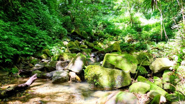 中坑古道東山西山2896476