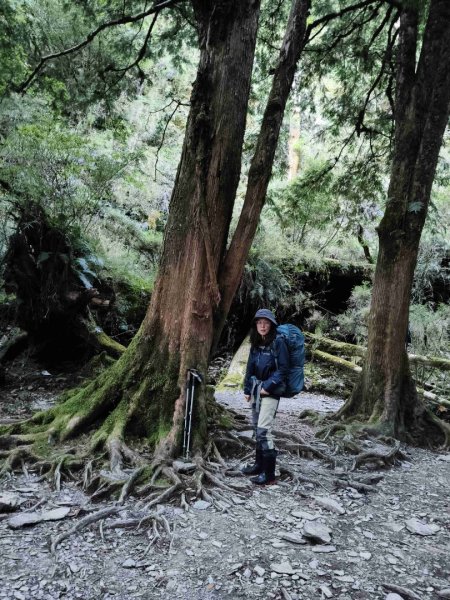 干卓萬群峰五天1141001~052906176