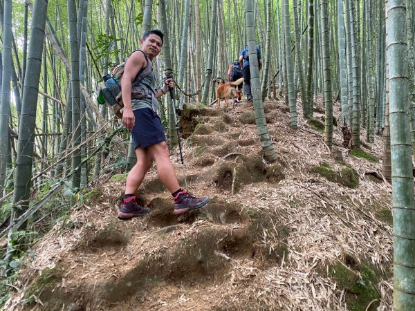 溪頭山-竹崙山-志騰山【夏日最愜意的避暑路線】2891504