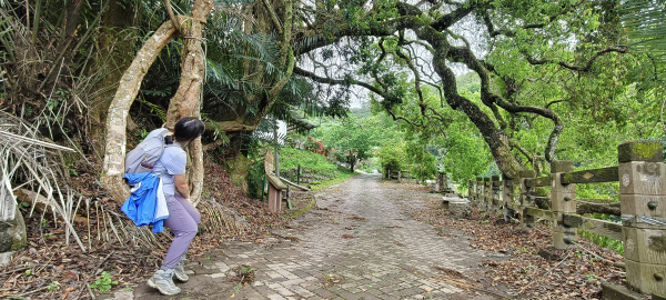 大窩文史生態區步道-2025/04/13