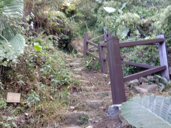  步道巡訪員 l 崁頭山步道12月份巡禮1204913