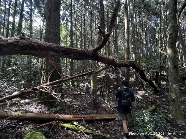 民都有山就是漂亮的夏天冷氣房2582226