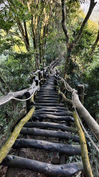 【台灣健行】台中大坑 5-1、5 頭嵙山2879635