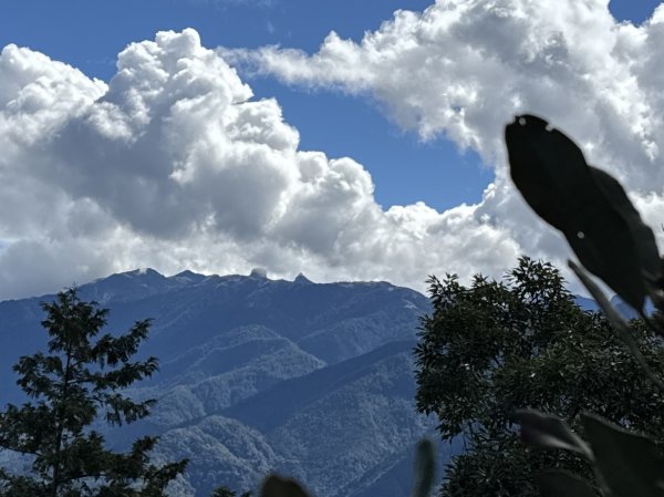 觀霧-榛山步道2926011