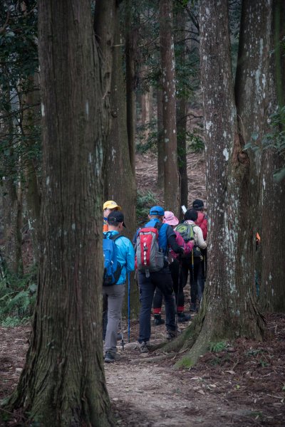 加里山-杜鵑嶺 五星級步道552328