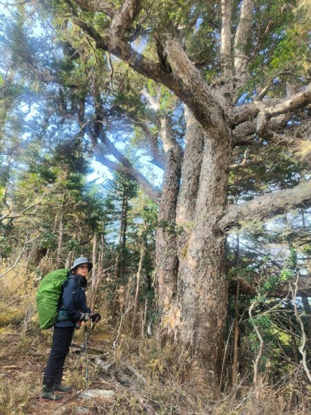20240322 馬博8天縱走~第七天，馬西山，喀西帕南山2471477