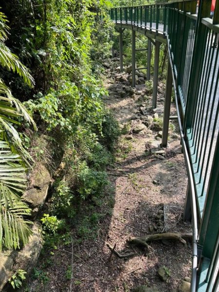 ［竹山］瑞龍瀑布步道  竹山第一美瀑之稱2909719