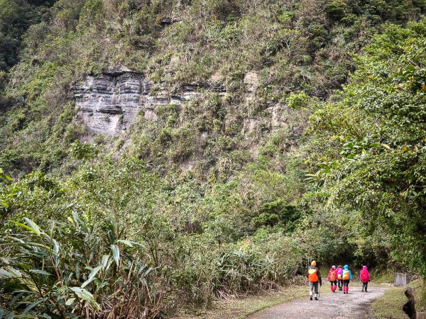 2025-01-19 大里天公廟~埡口2695392